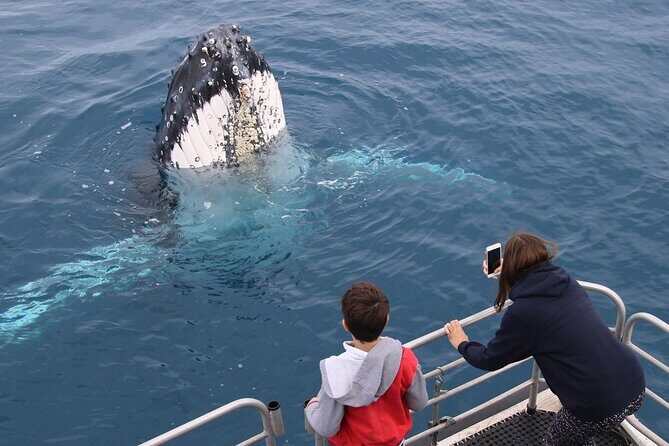Hervey Bay Whale Watching Cruise - Who Will Enjoy This Tour Most?