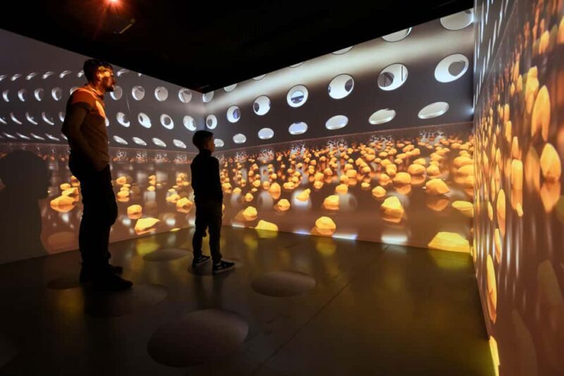 Heule: Chocolatier Vandenbulcke Chocolate Trail Tour - A Close-Up Look at the Chocolate Trail Experience