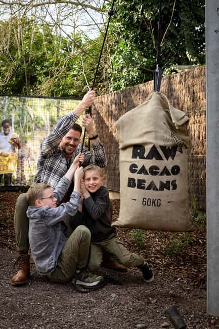 Heule: Chocolatier Vandenbulcke Chocolate Trail Tour - Authentic Reviews: What Visitors Are Saying