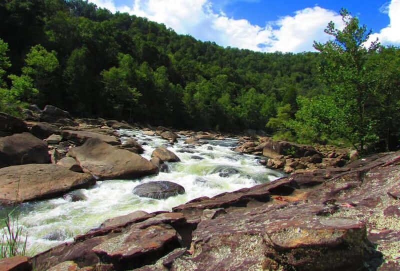 Hico, WV: Lower New River Rafting Afternoon Express - Who Will Love This Experience?