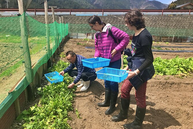 Hida Private E-Bike Tour With Premium Lunch and Farm Experience - Requirements and Restrictions