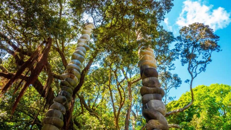 Hidden Auckland Small-Group Walking Tour - The Sum Up