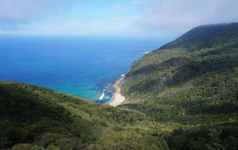 Hidden beaches and waterfalls Day trip ! - An Authentic Day in Royal National Park