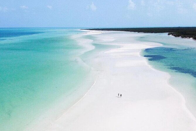 Hidden Beauty at Holbox Island Tour! From Cancun & Riviera Maya - Introduction