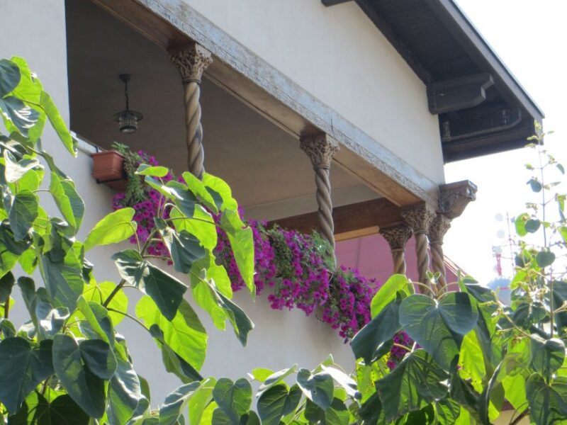 Hidden Bucharest | 3 Hours Private Walking Tour - Meeting Point