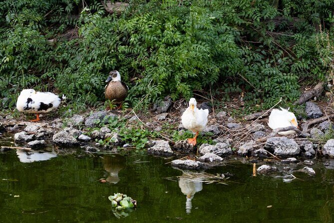 Hidden Canals of Tláhuac: A Peaceful Alternative to Xochimilco - The Sum Up: Is This Tour Right for You?