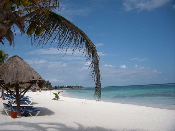 Hidden Cenote Swim: Snorkeling, Sea Turtles and Beachside Lunch - Key Points
