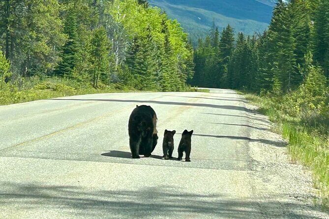 Hidden Gem: The Ultimate Waterton Adventure & Overnight option - Final Thoughts