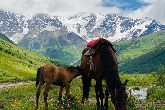 Hidden Gem With Salou Near Tbilisi - Practical Details That Matter