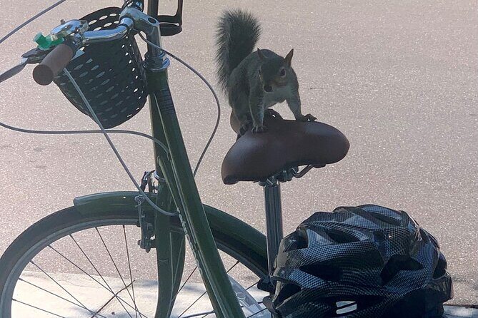 Hidden Gems Foodie Bicycling Tour of Downtown St Petersburg - Practical Information