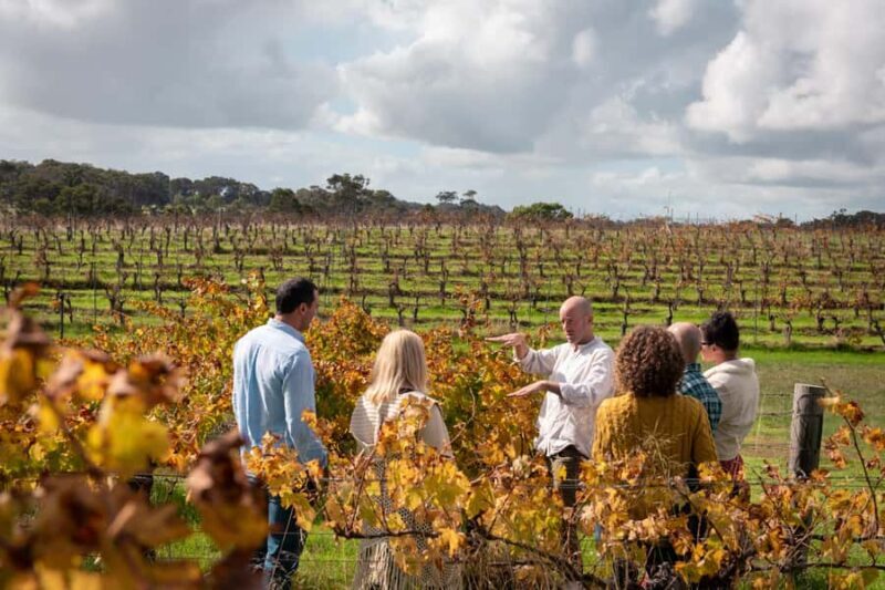 Hidden Gems Margaret River: Authentic Wine & Farm Experience - Authenticity and Unique Aspects