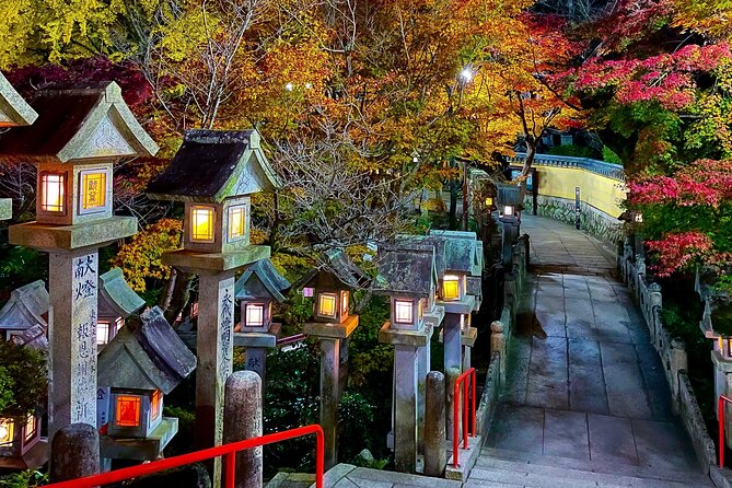 Hidden Gems of Osaka Kyoto Nara - Private Car Tour by Local Guide - Positive Guest Feedback