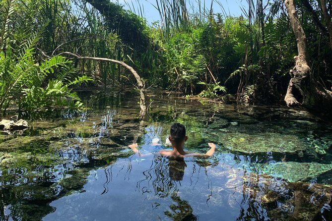 Hidden Gems of the North, Puerto Rico Private Tour - Discovering the Hidden Gems of Puerto Rico’s North Coast