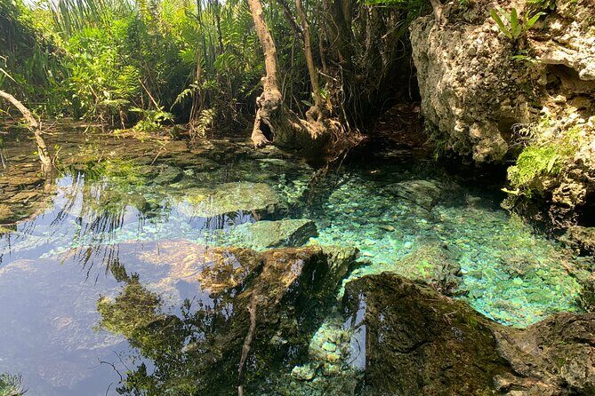 Hidden Gems of the North, Puerto Rico Private Tour - What Makes This Tour Stand Out?