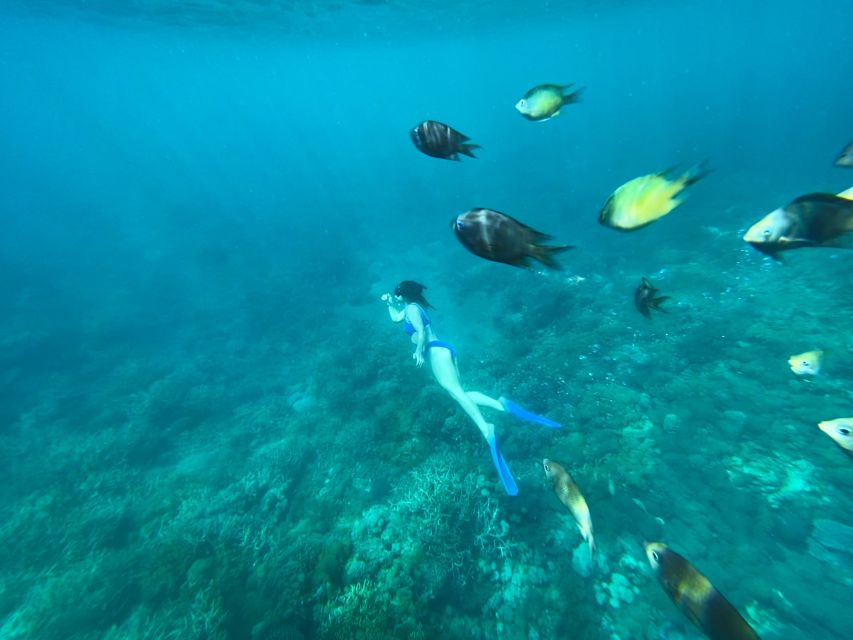 Hidden Gilis Lombok Snorkeling Daily Tour - Key Points