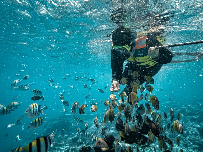Hidden Gilis Lombok Snorkeling Daily Tour - Inclusions