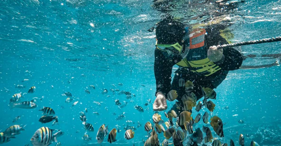 Hidden Gilis Lombok Snorkeling Daily Tour - Not Suitable For
