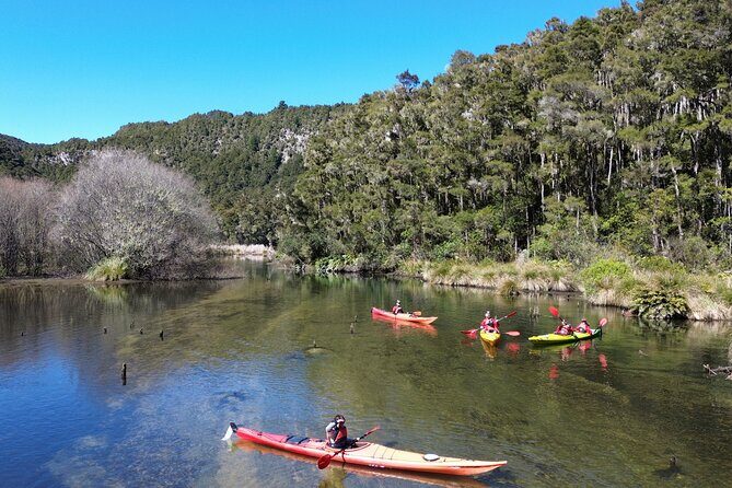 Hidden Lake Kayak Tour in Taups Secret Gem - An In-Depth Look at the Hidden Lake Kayak Tour