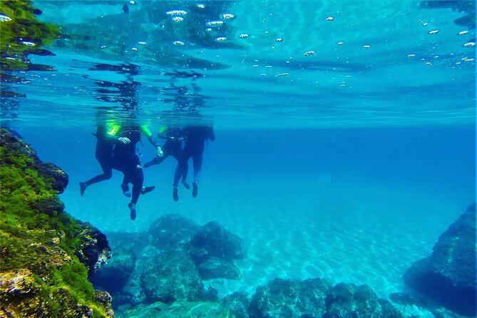 Hidden Mallorca: Sea Caving Adventure - Customer Feedback and Support