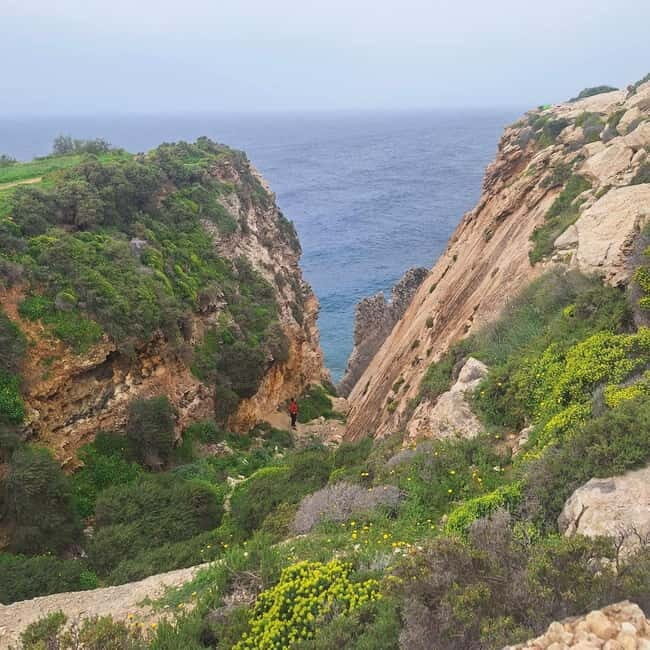 Hidden Malta: From Coastal Wonders to the Silent City - What Makes This Tour Stand Out?  