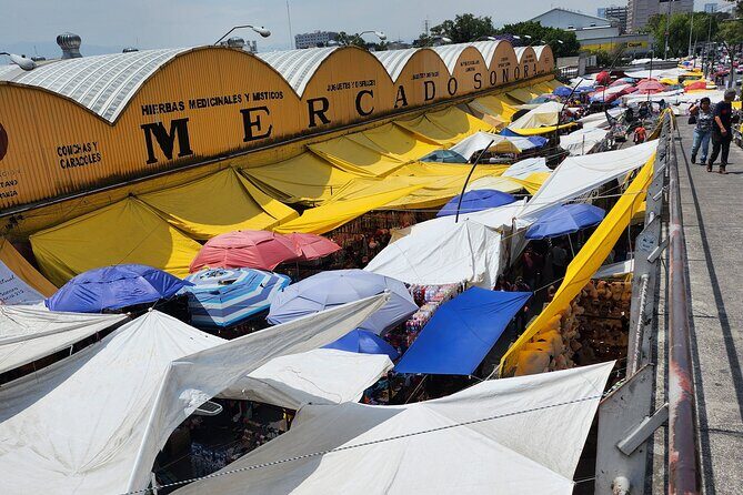 Hidden markets and delights in Mexico City - A Deep Dive into the Tour Experience