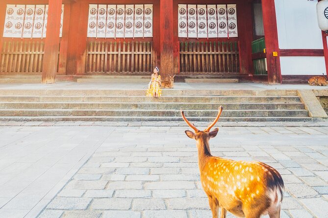 Hidden Temples in Kyoto a Self-Guided Zen Tour - Venture to Ninnaji Temple