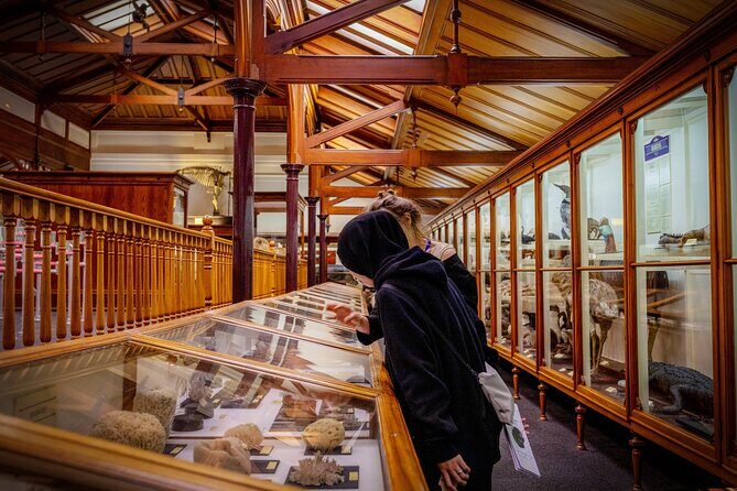 Hidden Thura Otago Museum Experience - A Closer Look at the Hidden Thura Otago Museum Experience