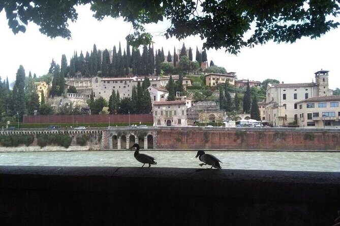 Hidden Verona & Giusti Garden- 3 hour private walking tour - FAQs
