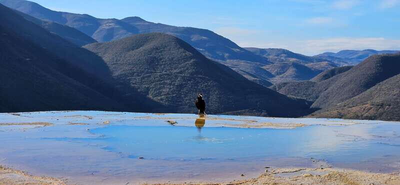Hierve el agua: A Day of Adventure, Culture, and Flavor - The Tule Tree: Nature’s Ancient Wonder
