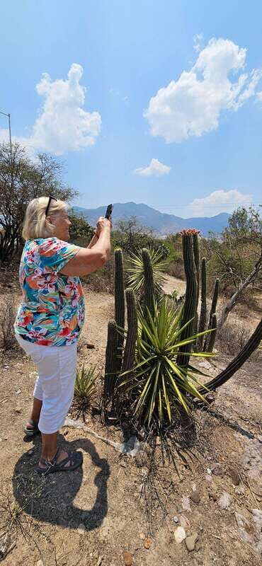 Hierve el agua: A Day of Adventure, Culture, and Flavor - Accessibility and Practical Tips