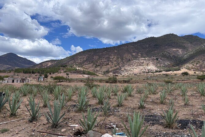 Hierve el Agua and Oaxaca Mezcal and Mole Experience - The Sum Up