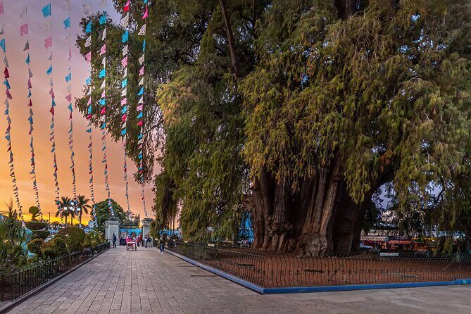 Hierve el Agua Artisanal Route with Mezcal and Oaxacan Food - Final Thoughts