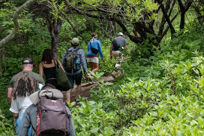 Hierve el Agua Half-Day: Early Access & Personal Guide + Pickup - Cost and Value