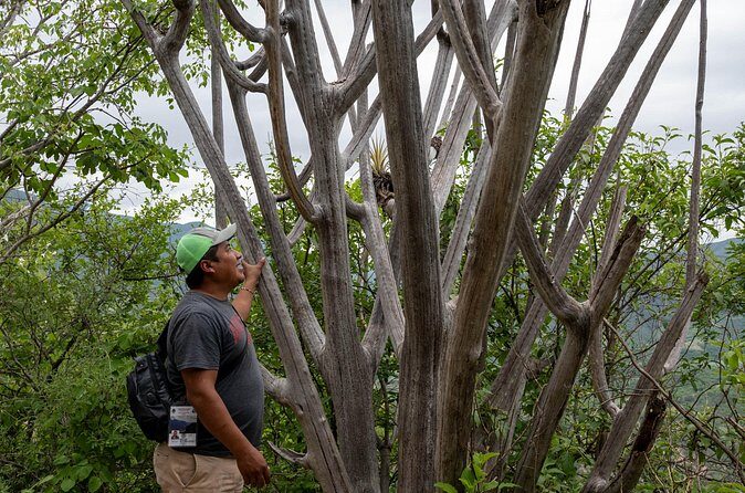 Hierve el Agua Half-Day: Early Access & Personal Guide + Pickup - What Travelers Love