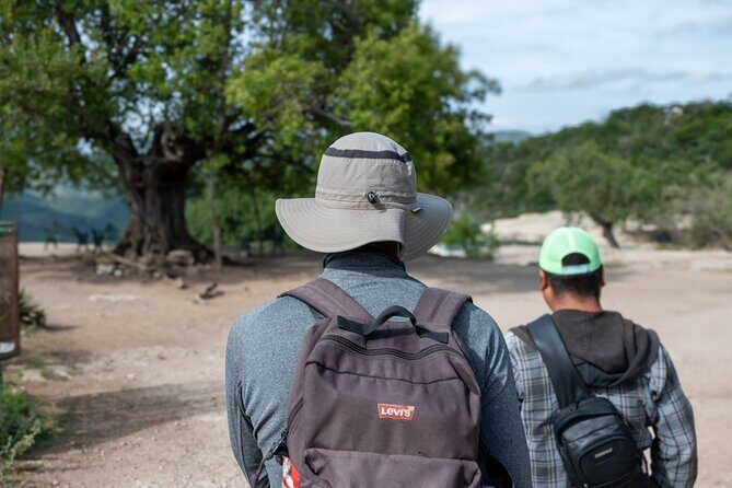 Hierve el Agua Half-Day: Early Access & Personal Guide + Pickup - Who Would Enjoy This Tour?