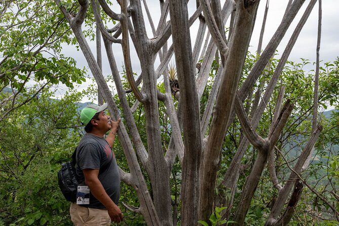 Hierve el Agua Half-Day: Early Access & Personal Guide + Pickup - FAQs