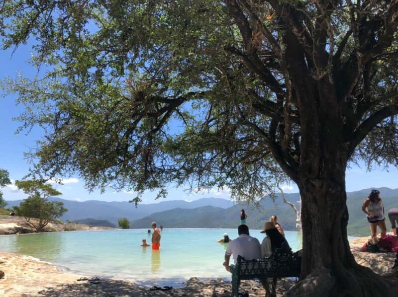 Hierve el Agua, Mitla, El Tule Tree, Rugs, Mezcal Distillery Tour - Exploring the Oaxaca Day Tour: Hierve el Agua, Mitla, El Tule Tree, Rugs, and Mezcal