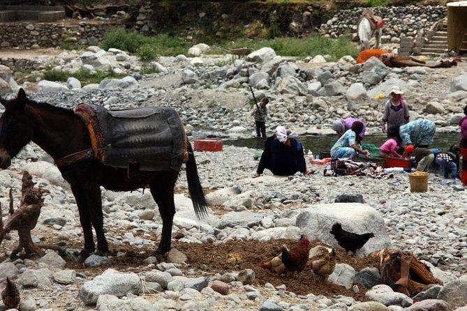 High Atlas Mountains Day Trip - Inclusions and Exclusions