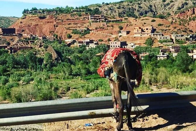 High Atlas Mountains Day Trip - Tips for a Great Experience