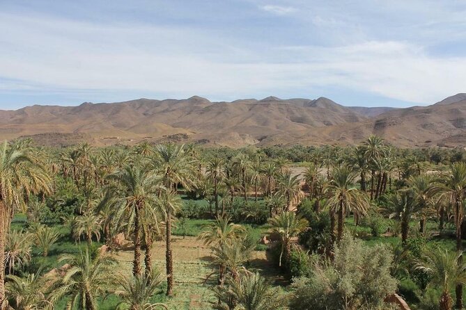 High Atlas Mountains Day Visit Ourika Valley & Setti Fatma - Exploring Ourika Valley and Setti Fatma