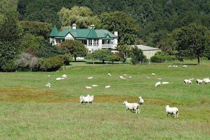 High Country Discovery Tour from Queenstown - Exploring the Itinerary in Detail