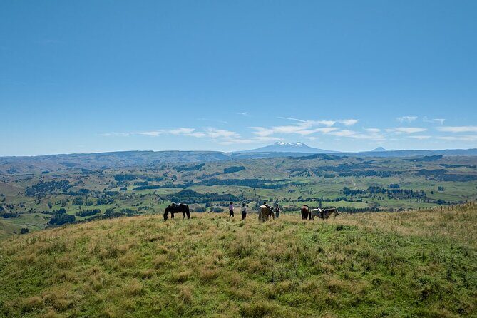 High Country Enchantment Full-Day Horse Trek - Introduction: Why This Horse Trek Stands Out