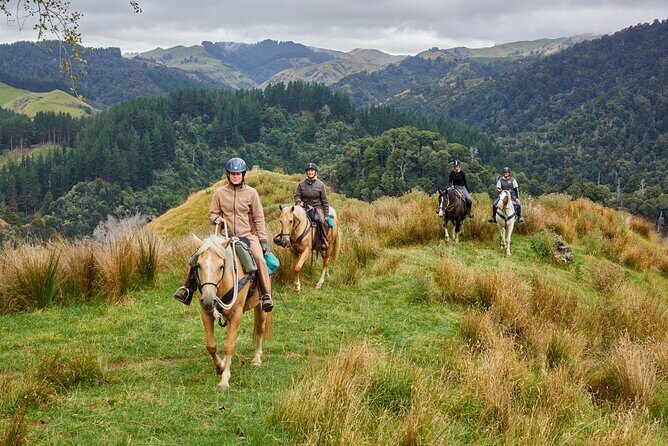 High Country Enchantment Full-Day Horse Trek - Authentic Experiences and Real Feedback