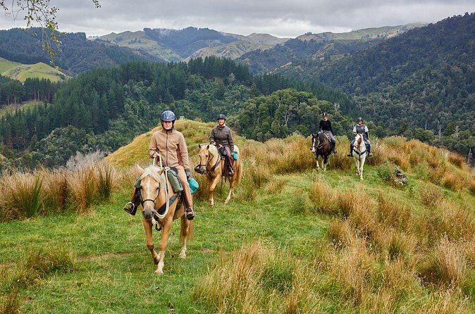 High Country Enchantment Full-Day Horse Trek - Price and Value Analysis