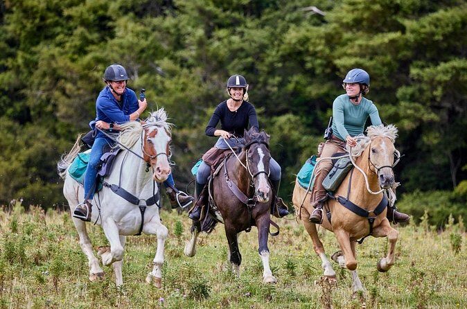 High Country Enchantment Full-Day Horse Trek - The Sum Up: Is the High Country Enchantment Worth It?