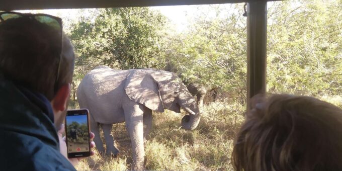 High-End 4 Day Kruger Park All Inclusive Safari From Joburg! - Kruger National Park Exploration
