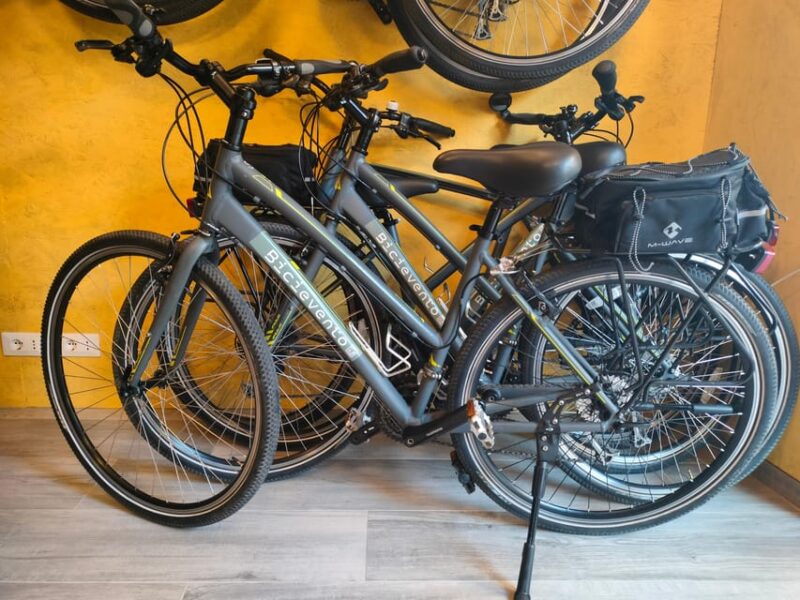 High-Quality Bike and Ebike Rentals in Rome Near the Vatican - Rental Hours and Extensions