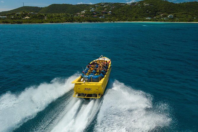 High Speed Harbor Tour from Charlotte Amalie Cruise Port - Practical Details for Your Booking