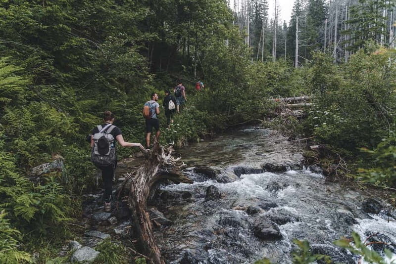High Tatras: Bearwatching Hiking Tour in Slovakia - FAQ