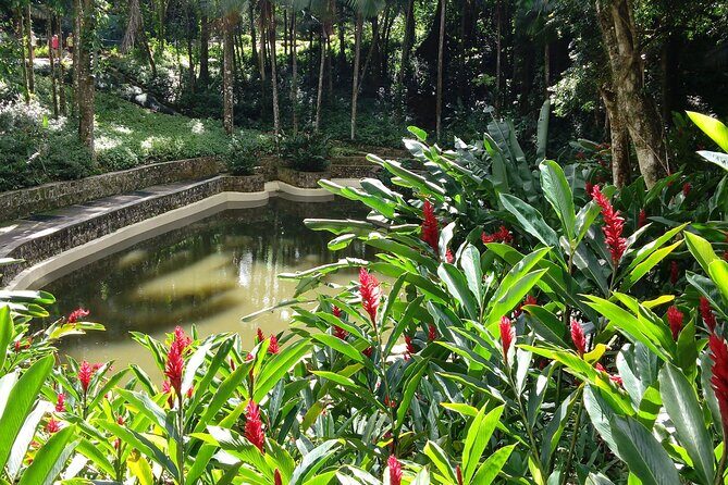 Highest Point Views & Historic Town - Amber Cove and Taino Bay - Frequently Asked Questions